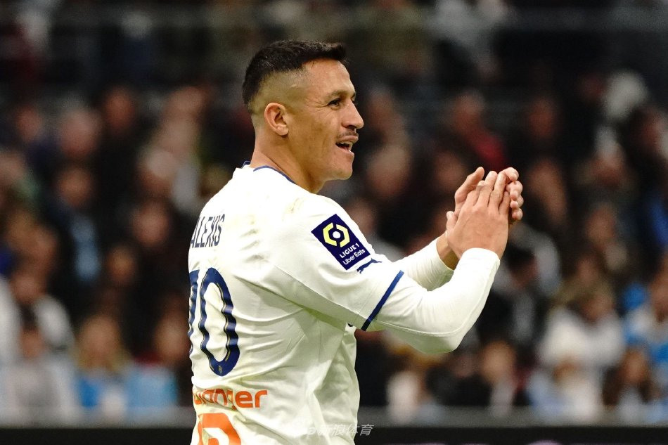 乓球队的新 乓球队的新